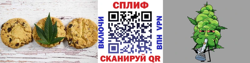 мориарти как зайти  магазин  наркотиков  Сорочинск  Canna-Cookies марихуана 