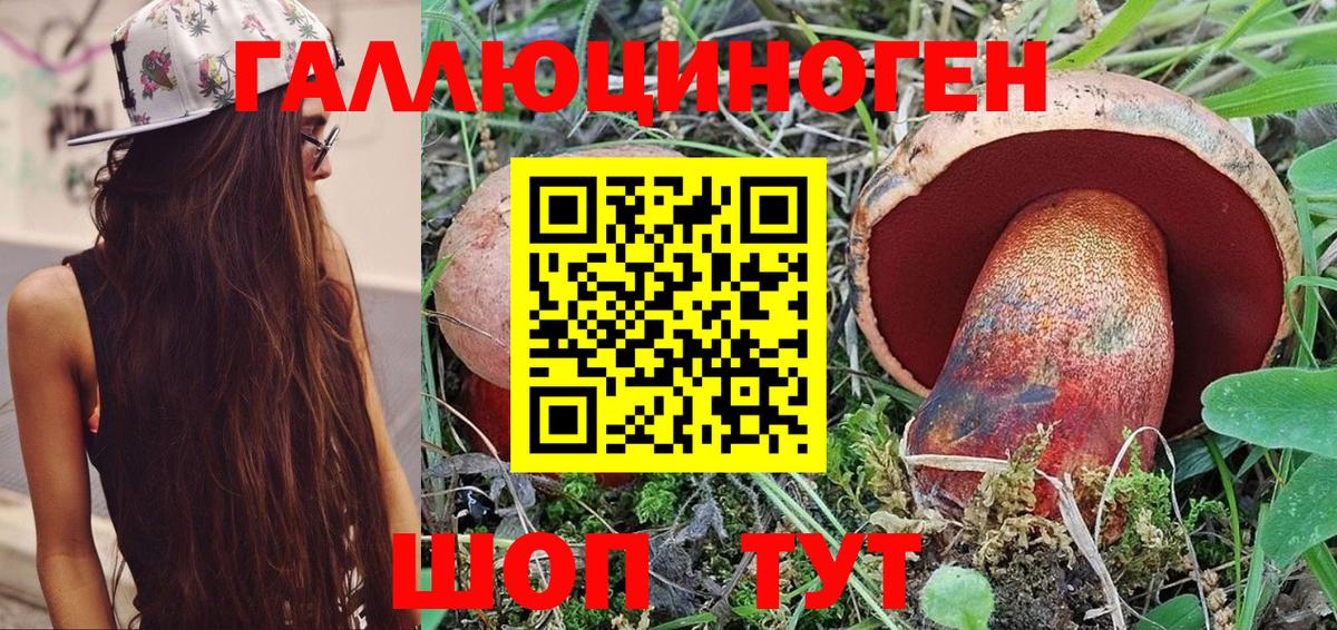 Сорочинск  сколько стоит  Вход с VPN  Псилоцибиновые грибы Magic Shrooms 